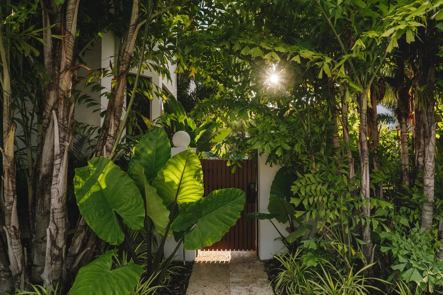 A tropical garden with a wooden gate and lush greenery.