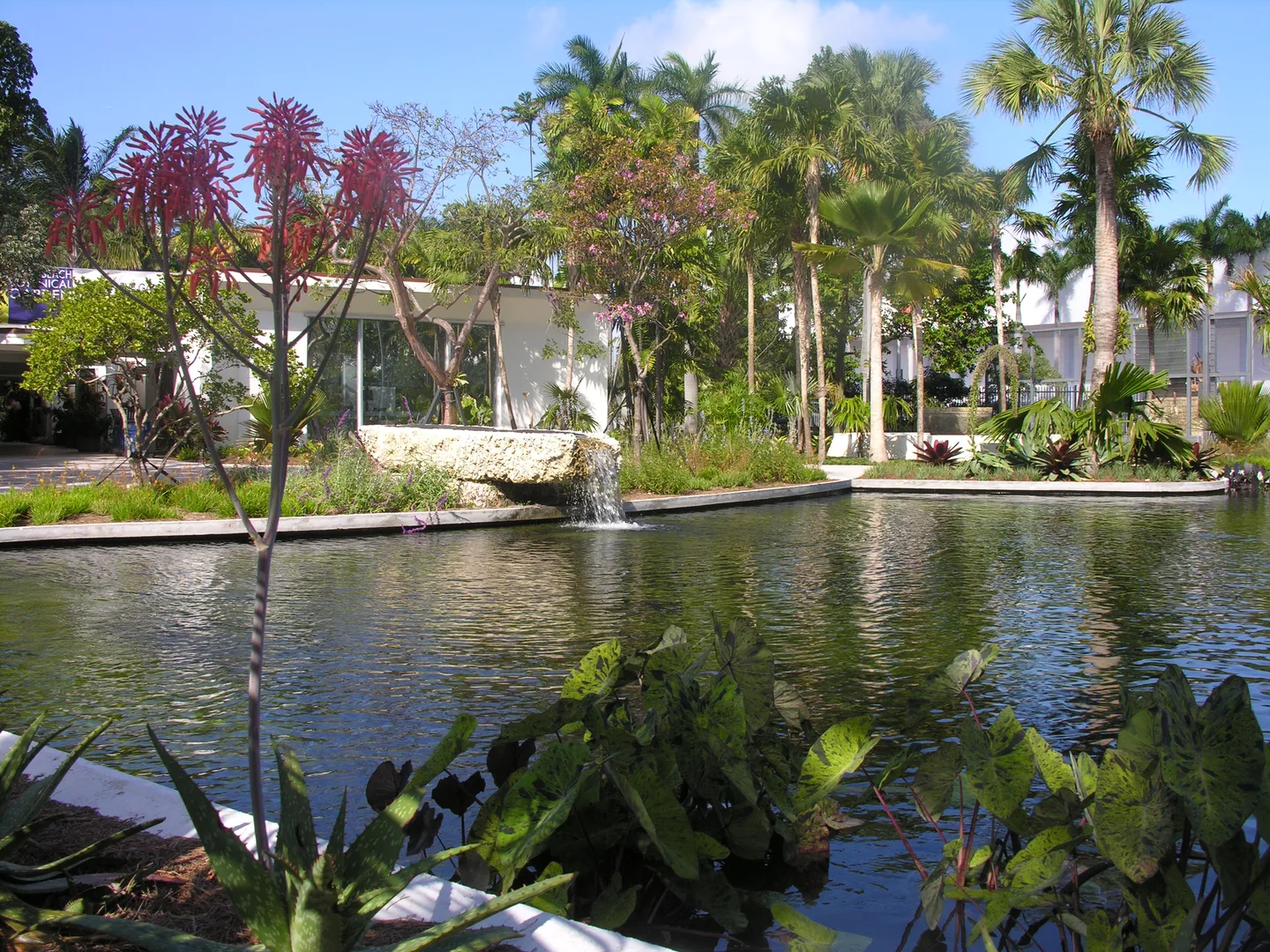 A serene corner of the garden with still water, lush greenery and palm trees.